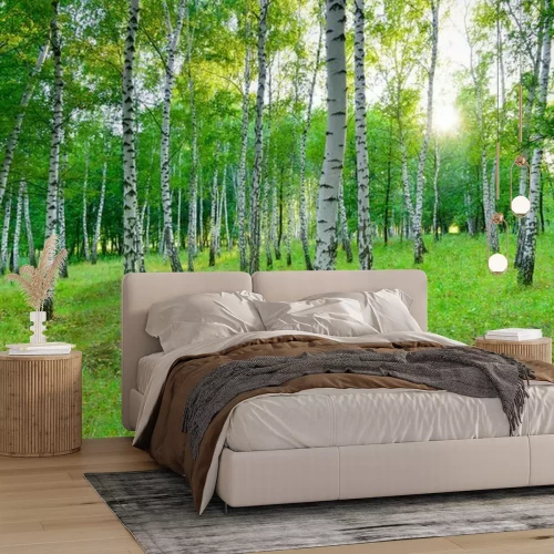 Papier peint  Été dans une forêt de bouleaux