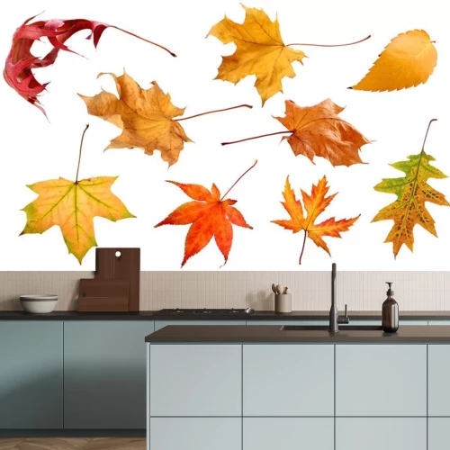 Sticker  Automne, automne, feuilles, isolé, blanc, fond, collection