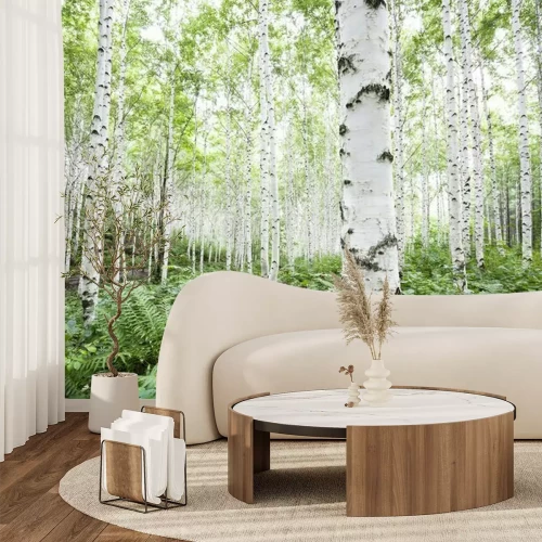 Papier peint  Blanc, bouleau, Arbres, forêt, Été