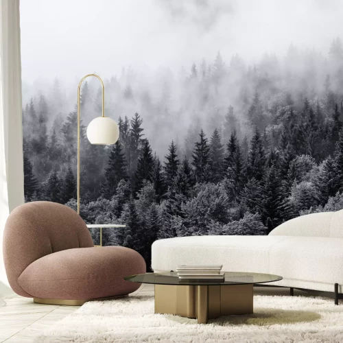 Papier peint  Forêt dans le brouillard noir et blanc