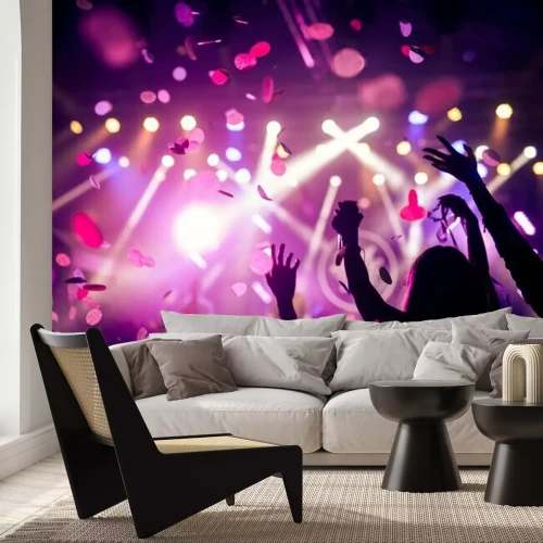 Papier peint  Public lors d'un concert