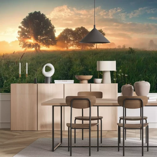 Papier peint  Coloré, ressort, lever soleil, pré