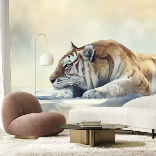 Papier peint  Tigre, reposer, rocher