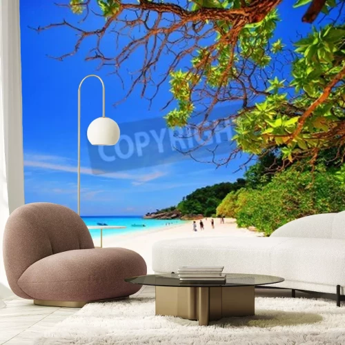 Papier peint  Plage, arbres verts et océan