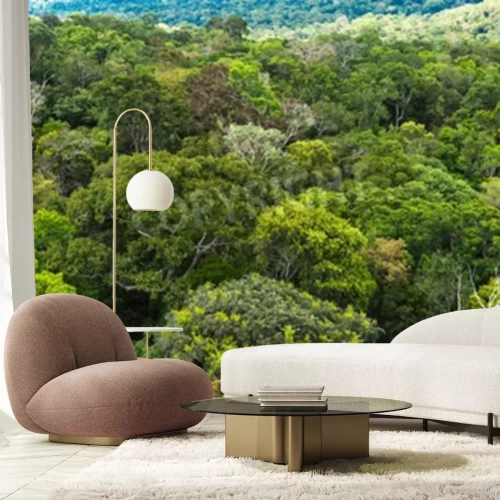 Papier peint  Les tropiques au Brésil