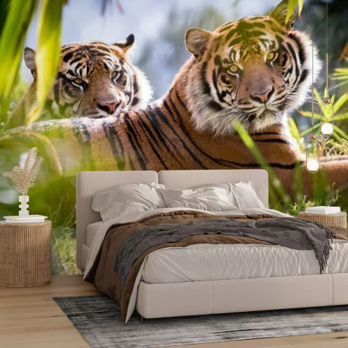 Papier peint  Deux tigres paysage vert