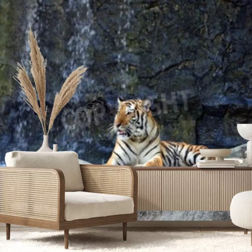 Papier peint  Portrait de tigre sur les pierres