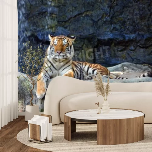 Papier peint  Tigre endormi sur les rochers