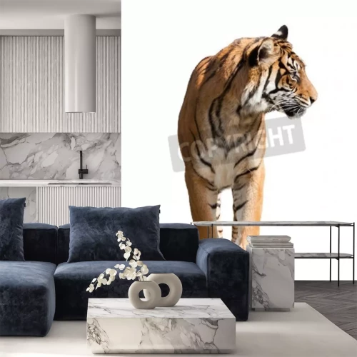 Papier peint  Tigre sur fond blanc