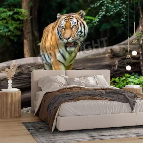 Papier peint  Tigre majestueux dans la forêt