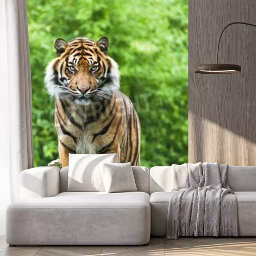 Papier peint  Tigre du Bengale sur fond de verdure