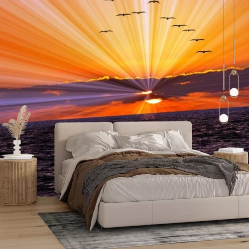 Papier peint  Oiseaux en vol au-dessus de l'océan au coucher du soleil