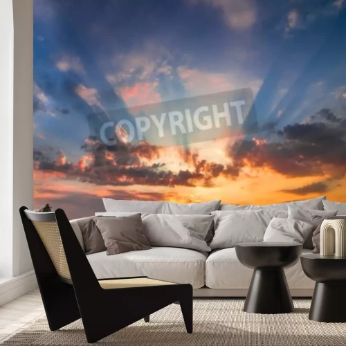 Papier peint  Coucher de soleil dans le jardin