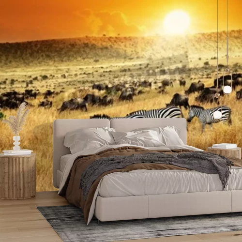 Papier peint  Coucher de soleil en Afrique avec des zèbres