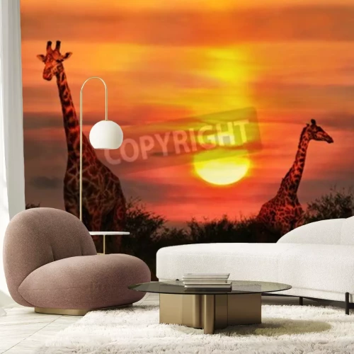Papier peint  Girafes et coucher de soleil