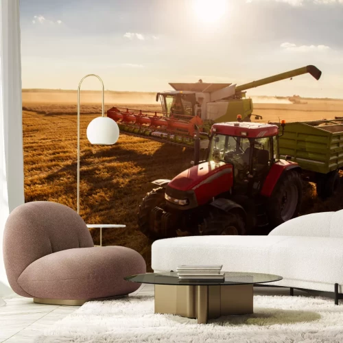 Papier peint  Récolte du blé