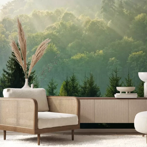 Papier peint  Silhouettes sombres d'arbres sur fond de rayons de soleil