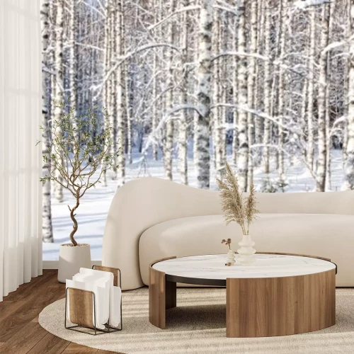 Papier peint  Bouleaux en hiver