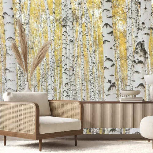 Papier peint  Bouleaux avec des feuilles jaunes
