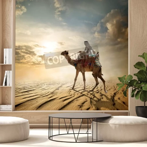 Papier peint  Chameau bédouin et le désert