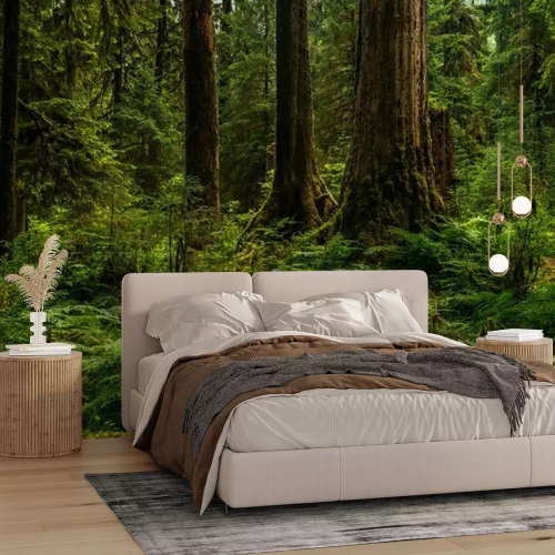 Papier peint  Hoh Rain Forest