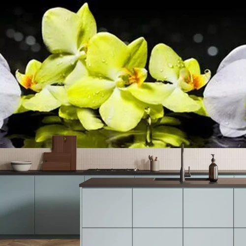 Papier peint  Orchidées blanches et jaunes avec des gouttes d'eau