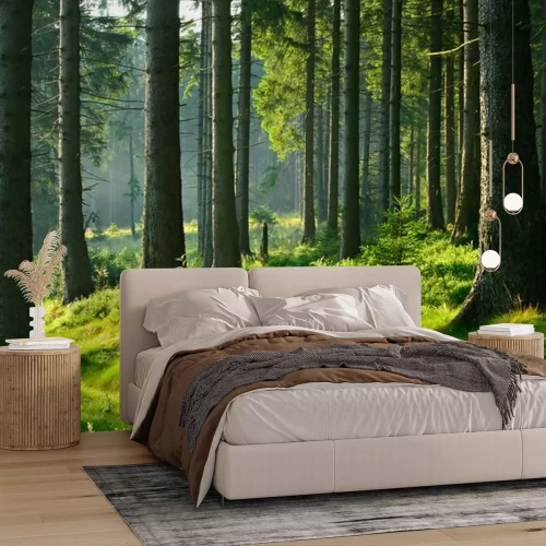 Papier peint  Sous-bois vert et troncs d'arbres