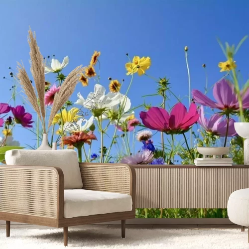 Papier peint  Carte - fleur colorée pré - fleurs d'été