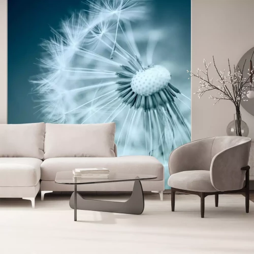 Papier peint  Pissenlit