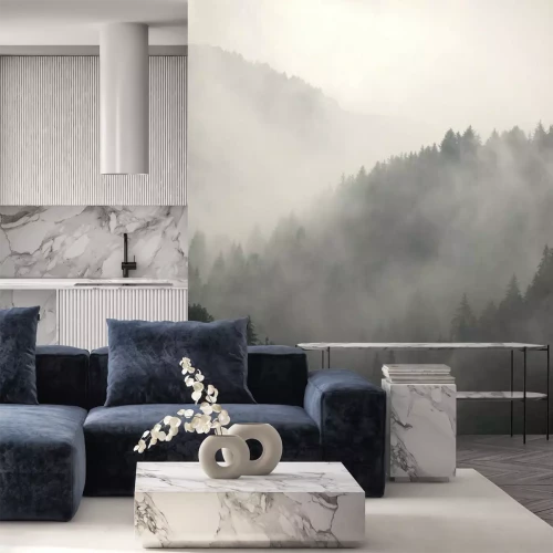 Papier peint  Brume matinale et forêt de montagne