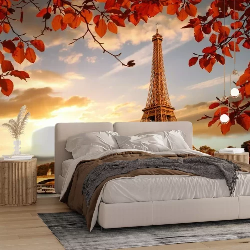 Papier peint  Tour Eiffel, automne, feuilles, paris, france