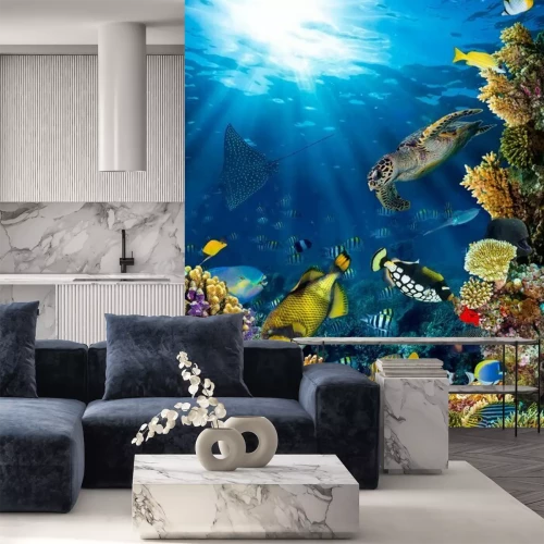 Papier peint  Tortue de mer et récif corallien