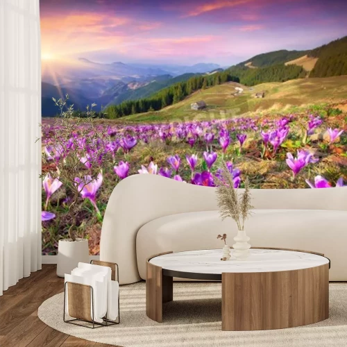 Papier peint  Lever de soleil au printemps