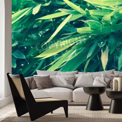Papier peint  Feuilles de bambou vertes de près