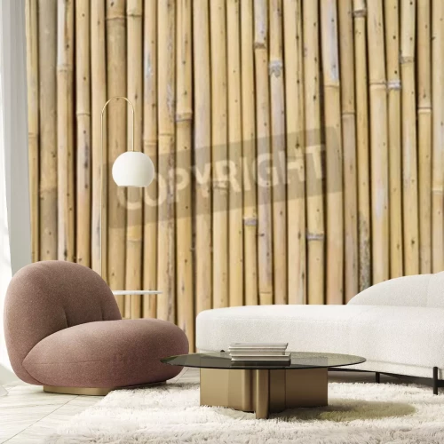 Papier peint  Bambou séché de près