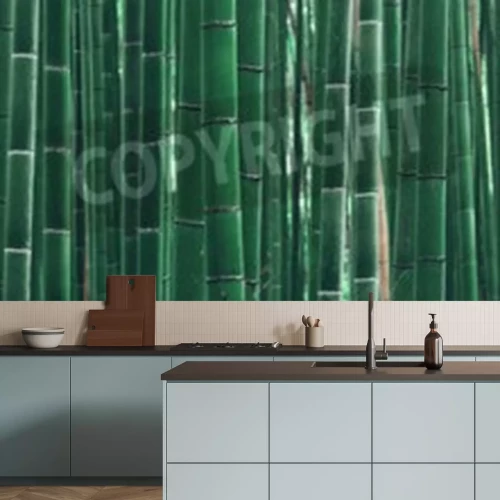 Papier peint  Pousses de bambou vertes