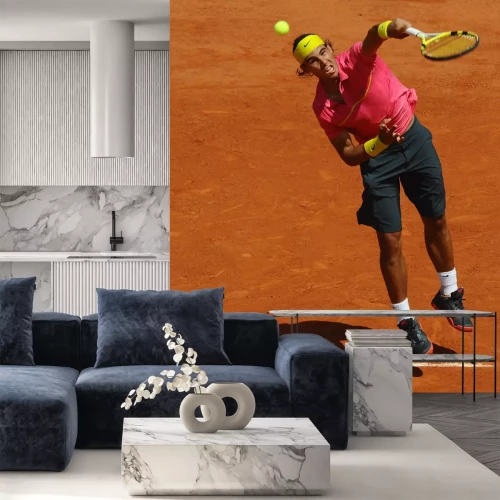 Papier peint  Roger Federer sur le court