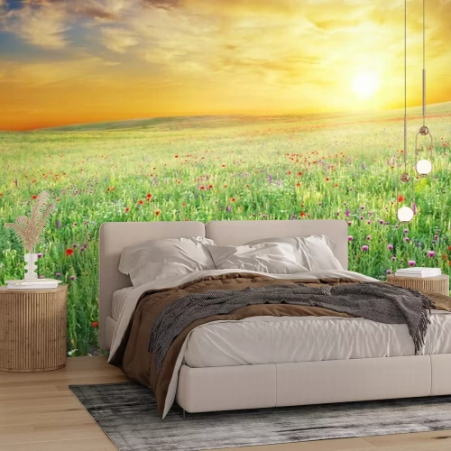 Papier peint  Printemps, pré