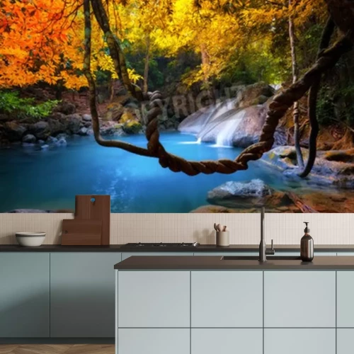 Papier peint  Lianes dans la jungle