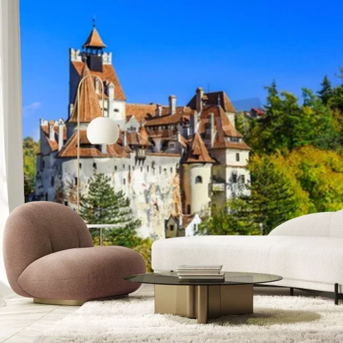 Papier peint  Château forêt en Roumanie