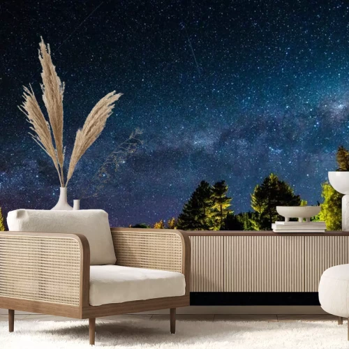 Papier peint  Constellations d'étoiles et forêt