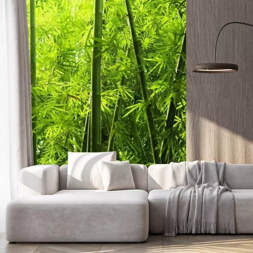 Papier peint  Forêt avec bambou