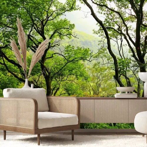 Papier peint  Forêt au Sri Lanka