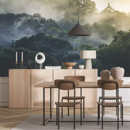 Papier peint  Paysage de forêts tropicales sous la brume