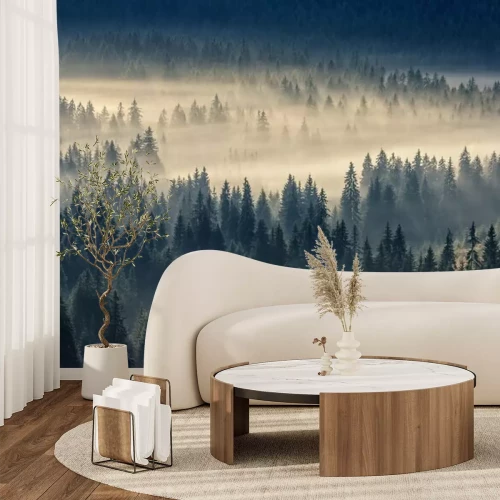 Papier peint  Conifère, forêt, brumeux, montagnes