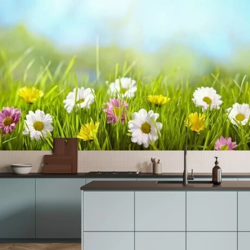 Papier peint  Printemps, fleur, pré