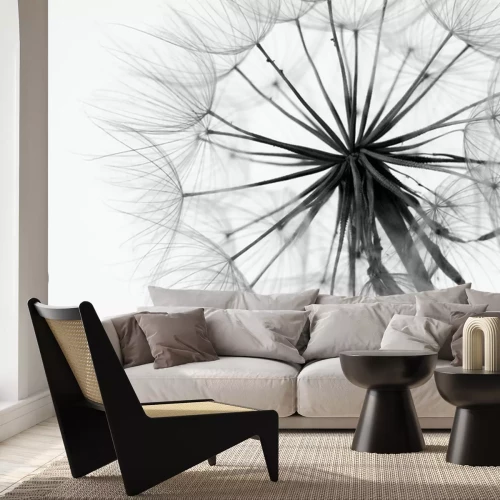 Papier peint  De délicates aigrettes d'un pissenlit