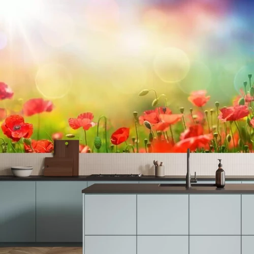 Papier peint  Coquelicots dans une prairie en plein soleil