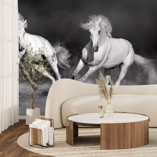 Papier peint  Deux chevaux au galop