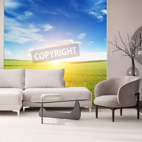 Papier peint  Lever de soleil sur une prairie verte